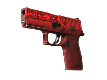 P250 | Muertos (Battle-Scarred)