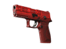 P250 | Muertos (Battle-Scarred)