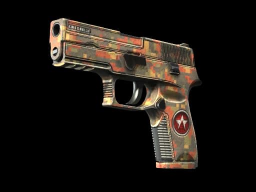 P250 | Red Rock (Well-Worn)