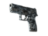 P250 | Steel Disruption (Field-Tested)