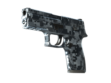 P250 | Steel Disruption (Minimal Wear)