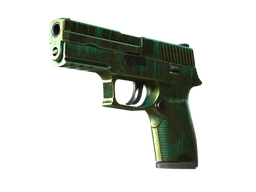 P250 | Verdigris (Battle-Scarred)