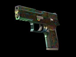 P250 | Visions (Battle-Scarred)