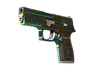 P250 | Visions (Factory New)