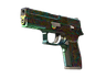 P250 | Visions (Field-Tested)