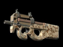 P90 | Desert DDPAT (Well-Worn)