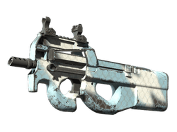 P90 | Glacier Mesh (Well-Worn)