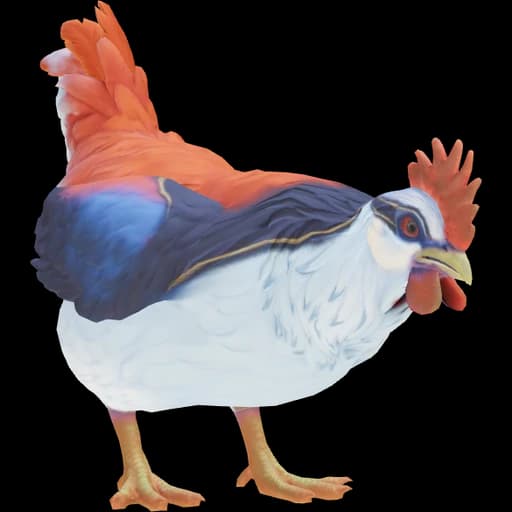 CS2 Catalana pet chicken, Light Blue & Red