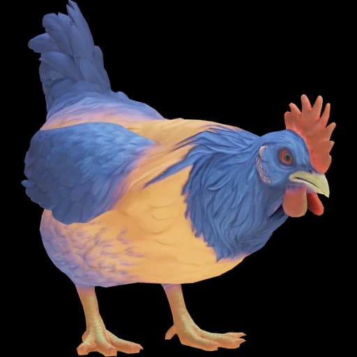 CS2 Catalana pet chicken, Orange Blue Neck