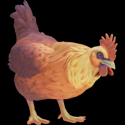 CS2 Catalana pet chicken, Yellow Red Gradient