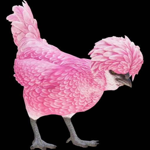 CS2 Polish pet chicken, Pink