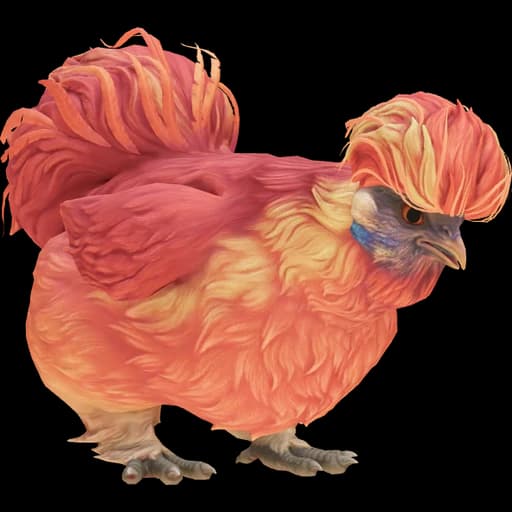 CS2 Silkie pet chicken, Red