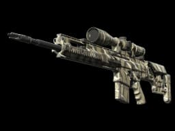 SCAR-20 | Torn (Well-Worn)
