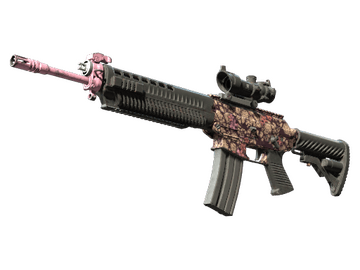 SG 553 | Desert Blossom (Field-Tested)