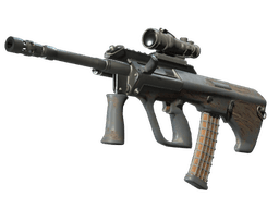 Souvenir AUG | Spalted Wood (Battle-Scarred)