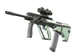 Souvenir AUG | Storm (Battle-Scarred)