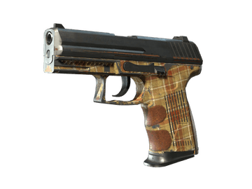 Souvenir P2000 | Coach Class (Battle-Scarred)