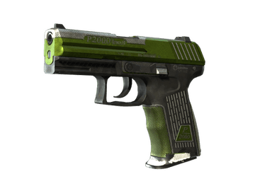 Souvenir P2000 | Turf (Battle-Scarred)