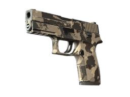 Souvenir P250 | Black & Tan (Well-Worn)