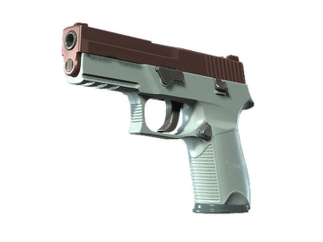 Souvenir P250 | Copper Oxide