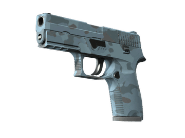 Souvenir P250 | Forest Night