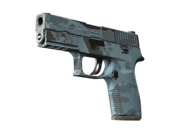 Souvenir P250 | Forest Night