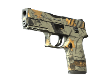 Souvenir P250 | Modern Hunter (Field-Tested)