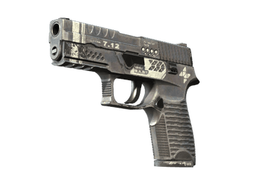 Souvenir P250 | Re.built (Well-Worn)