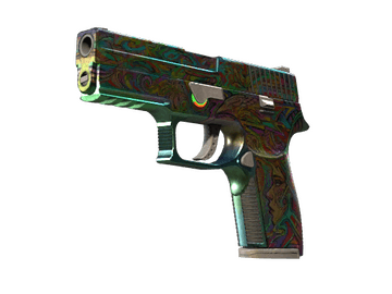 Souvenir P250 | Visions (Well-Worn)