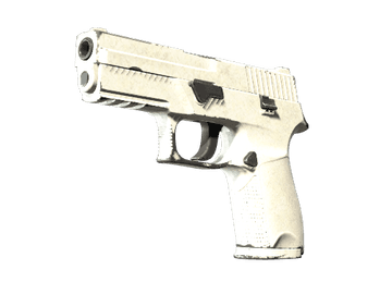 Souvenir P250 | Whiteout (Well-Worn)