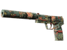 Souvenir USP-S | Ancient Visions (Minimal Wear)