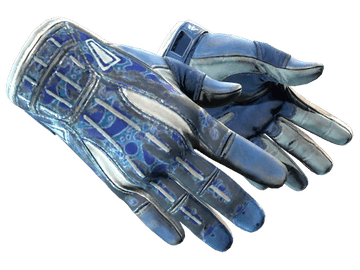 ★ Sport Gloves | Amphibious (Battle-Scarred)