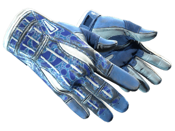 ★ Sport Gloves | Amphibious