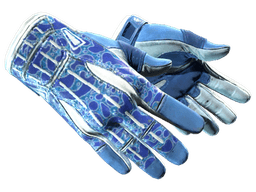 ★ Sport Gloves | Amphibious (Minimal Wear)