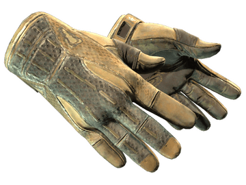 ★ Sport Gloves | Arid