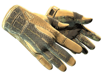 ★ Sport Gloves | Arid