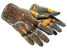 ★ Sport Gloves | Big Game (Field-Tested)