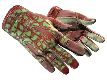 ★ Sport Gloves | Bronze Morph (Well-Worn)