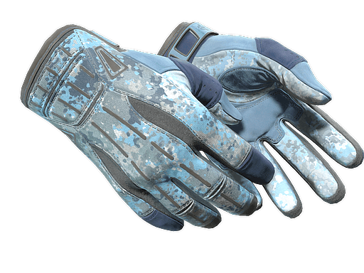 ★ Sport Gloves | Frosty (Minimal Wear)