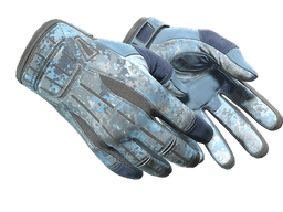 ★ Sport Gloves | Frosty (Well-Worn)