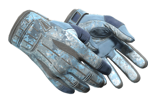 ★ Sport Gloves | Frosty (Well-Worn)