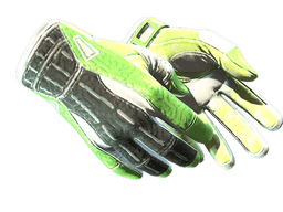 ★ Sport Gloves | Hedge Maze (Factory New)