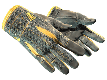 ★ Sport Gloves | Omega (Field-Tested)