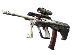 StatTrak™ AUG | Arctic Wolf (Well-Worn)