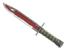 ★ StatTrak™ Bayonet | Crimson Web (Battle-Scarred)