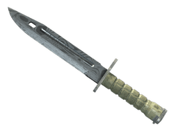 ★ StatTrak™ Bayonet | Damascus Steel (Field-Tested)