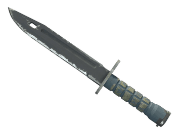 ★ StatTrak™ Bayonet | Night