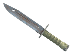 ★ StatTrak™ Bayonet | Rust Coat (Well-Worn)