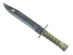★ StatTrak™ Bayonet | Stained (Factory New)