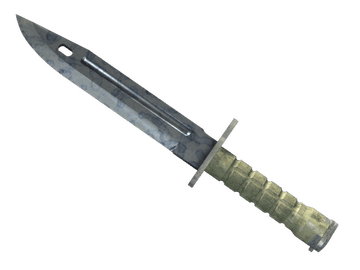 ★ StatTrak™ Bayonet | Stained